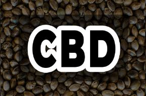 Imagen para la categoría CBD