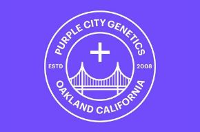 Imagen para la categoría PURPLE CITY GENETICS
